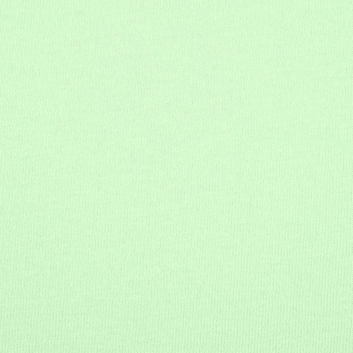 CVC T-Shirt Mint
